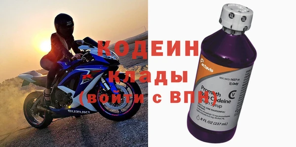 молекула духа Алзамай