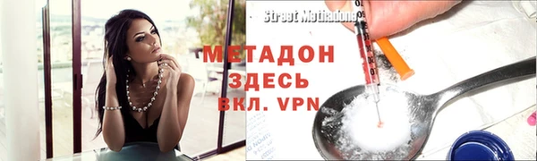 ГАЛЛЮЦИНОГЕННЫЕ ГРИБЫ Корсаков