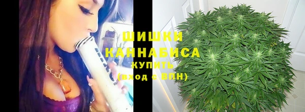 прущие грибы Костерёво