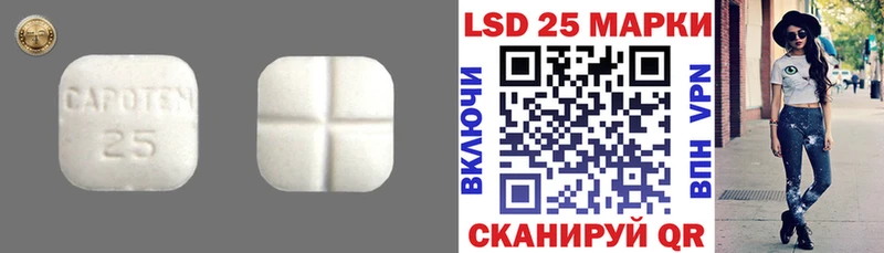 продажа наркотиков  OMG как войти  LSD-25 экстази кислота  Курлово 