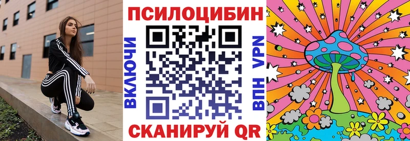 Псилоцибиновые грибы GOLDEN TEACHER  Курлово 