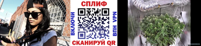 Бошки марихуана сатива  что такое   Курлово 